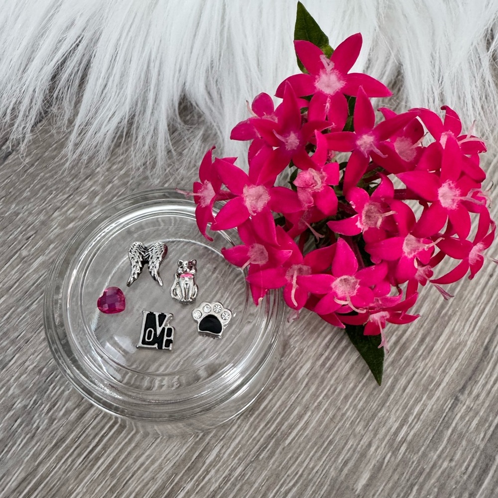 🐾Origami Owl 5 Charms… Cat, Crystal Paw, Angel Wings, Red Crystal & LOVE